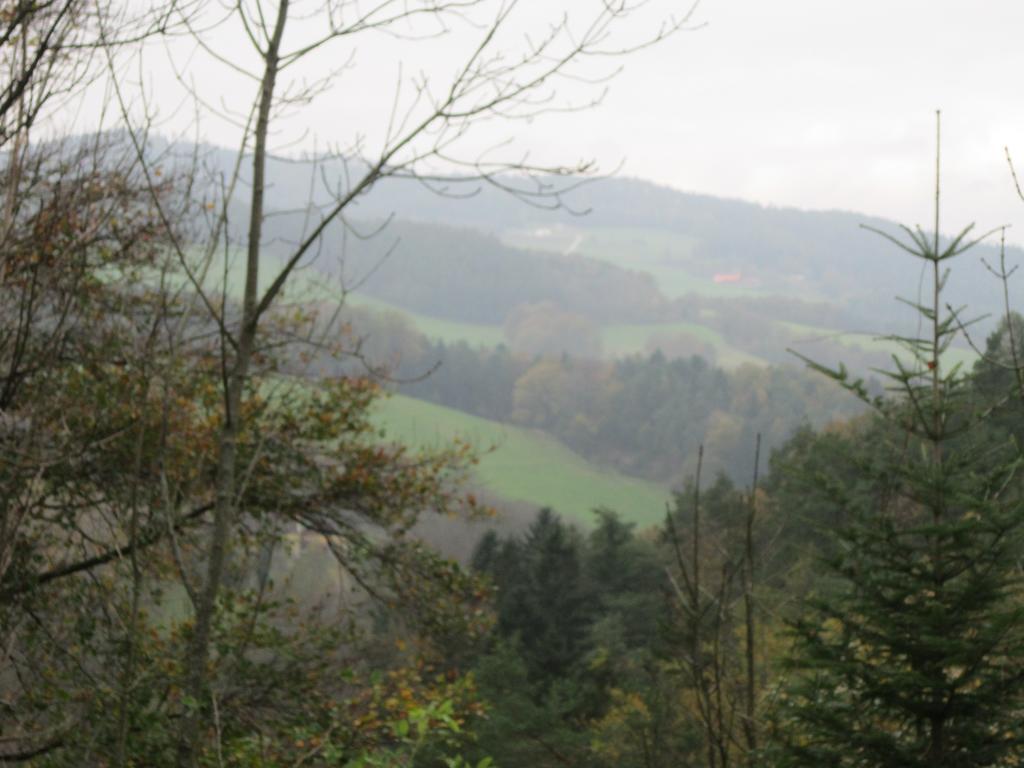 Waldpension Stachl Bromberg Esterno foto